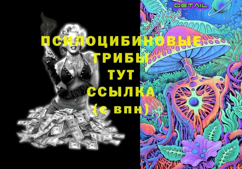 Галлюциногенные грибы Cubensis  где купить наркоту  Балахна 